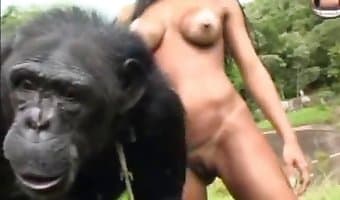 Animal Human Sex Monkey - monkey sex with sexy gurls