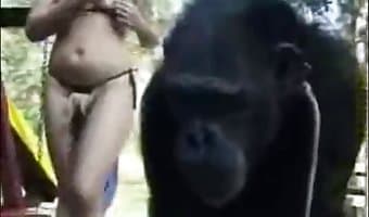 Monkey Fucks Girl Porn - Two hot babes and a fucking happy monkey