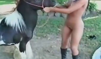 Stallion Horse Porn - sex with horse
