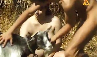 Animal Porn Xxxx Video - brutal