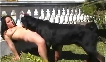 Wiptrick Animal Dog Teen Xxx Video - Animal Sex Porn Tube. Best bestiality zoo sex video content on the ...