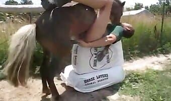 Horse Fuck Nude - Woman fucks horse outdoors