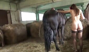 Woman fucked by horse