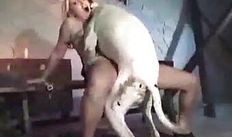 Man Fucks Horse - Animal Sex Porn Tube. Best bestiality zoo sex video content ...