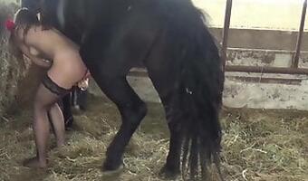 Horse sex action in the hot bestial porn