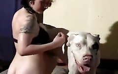 Dog Gives Man Blowjob - Animal Porn Tube - Sex with animals tube site. Where you see ...