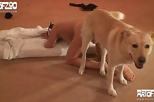 Cute Dog Porn - Animal porn videos. dog-porn