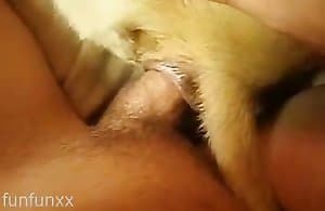 anal-zoo XXX - most wanted anal-zoo xxx videos.