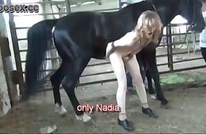 With horse girl sex Horse Sex