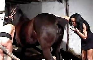 Horse Fuking Hard Hd - horse-sex XXX - most wanted horse-sex xxx videos.