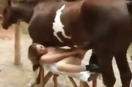 Animal Sex - farm-sex content and zoo sex videos.