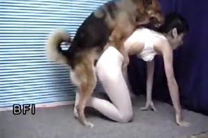 dog sex animal fuck