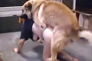 nasty dog sex