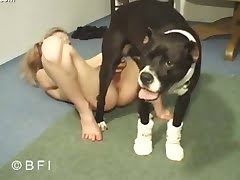 Dog Fucking Girl Porn Movies - Video girl fucking with a pet - Porn tube