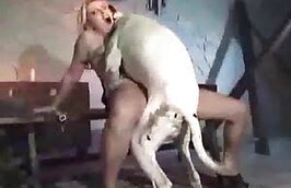 Saxvideodog - Animal Sex Videos - animal porn tube with zoo sex videos.