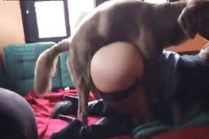 D0gsex - Dogsex porn. Fresh Zoo porn videos. Horse fuck, Dog sex, Pig ...