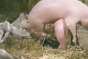 BETTER Ver. Video 3gp De Zoofilia Free Mobile X Videos 828_with-two-babes