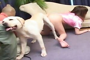 Animals porno dog