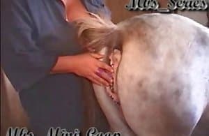 horse-sex