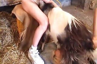 farm porn,sex with animals