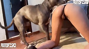 animal sex videos,animal fuck porn