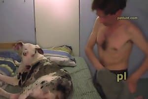 雌犬,犬のポルノ