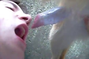 guy-animal-sex makes