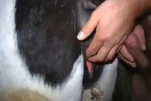 farm sex,animal fucks