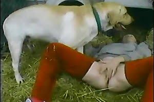 Kinky spreder sine ben for sin liderlige hund