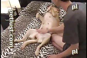 cute dog porn