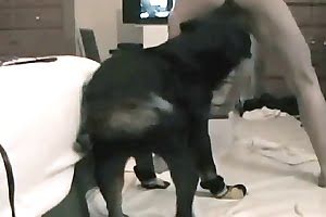 bestiality dog sex