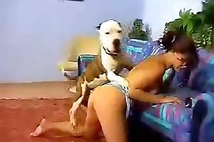 sexy dog sex