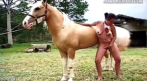 horse-sex,sex-movie