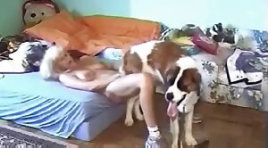 犬-xxx,動物ポルノ