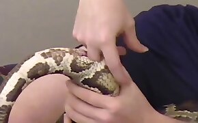 yılan porno hayvansever