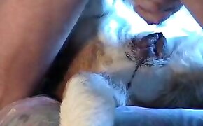 dog porn dude fucking with animal