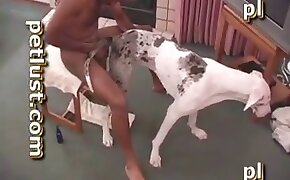 sex with animals dog porn