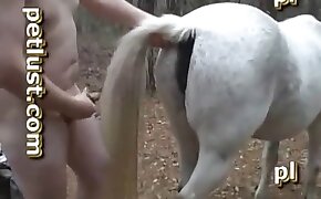 pussy fucked by animal, horse bestiality