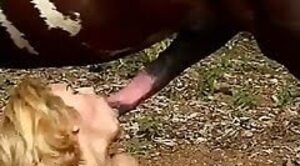 Horsesex Com - Horse Sex videos