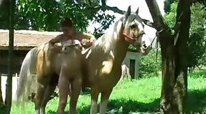 Mare Horse Pussy Animal - Horse Sex videos
