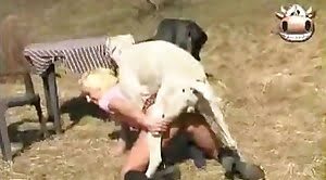 Www Xxx Mard Dog Video - Gay Animal Sex videos