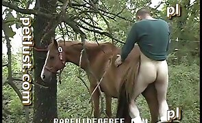 hardcore zoo porn, horse sex