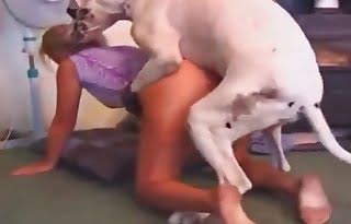 Animal Porn Tube - Free animal sex porn videos