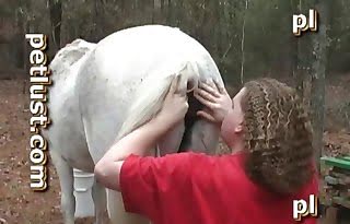 Horse Sex