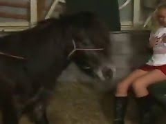 pony porn