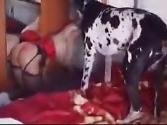 big boobs babe fucks dog in different positions