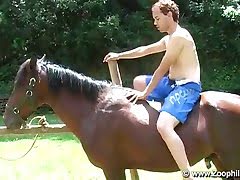 horse-porn, animal-fuck