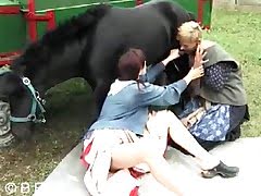 240px x 180px - Horse is licking her pussy in XXX farm action