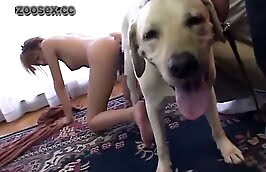 Thai Man Sex Dog - Asian ladyboy enjoying dog fuck