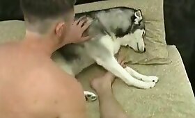guy fucks animal, dog animal sex